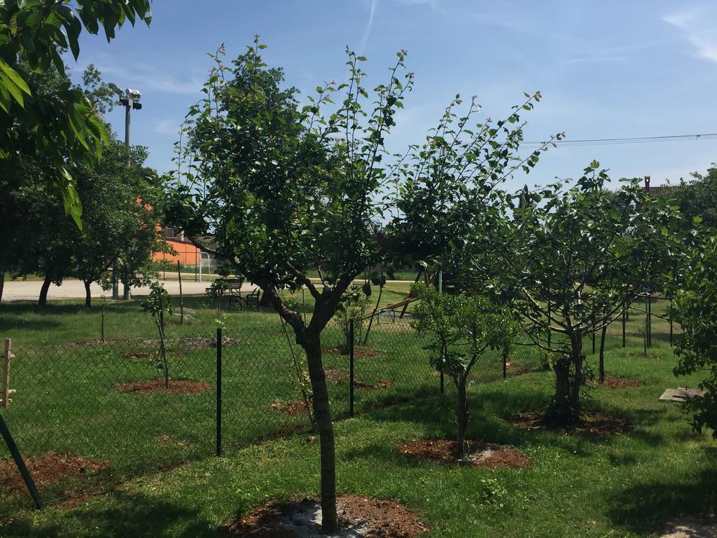 Veleniki Apartment Vesna מראה חיצוני תמונה